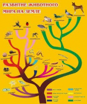 Стенд "Развитие животного мира на земле" - «globural.ru» - Салехард