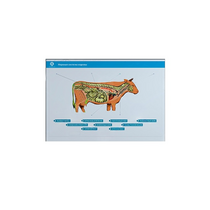 Стенд-планшет светодинамический "Изучение нервной системы сельскохозяйственных животных" со сменными панелями - «globural.ru» - Салехард