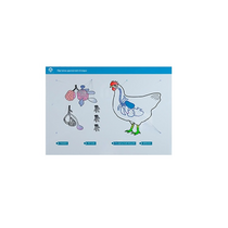 Стенд-планшет светодинамический "Изучение органов дыхания сельскохозяйственных животных" со сменными панелями - «globural.ru» - Салехард