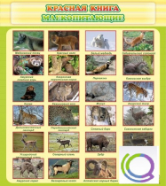 Стенд "Красная книга - млекопитающие" - «globural.ru» - Салехард