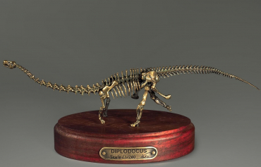 Модель скелета динозавра Diplodocus (вариант 1) - «globural.ru» - Салехард