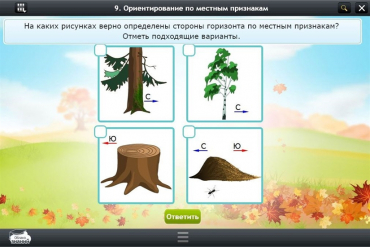 Интерактивные курсы. Окружающий мир 1 класс. Базовый - «globural.ru» - Салехард