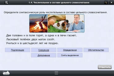 Интерактивные курсы. Русский язык 6 класс. Базовый - «globural.ru» - Салехард