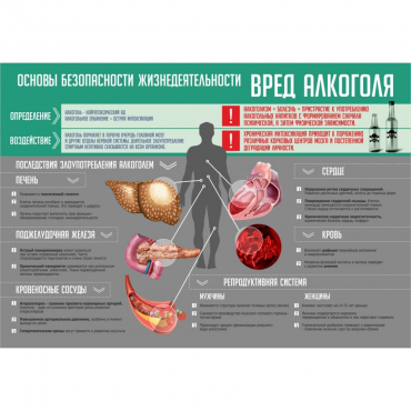 Стенд "Алкоголь" - «globural.ru» - Салехард
