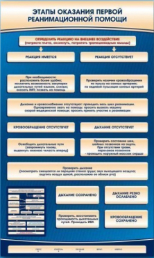 Электрифицированный стенд-тренажер "Этапы оказания первой реанимационной помощи" - «globural.ru» - Салехард